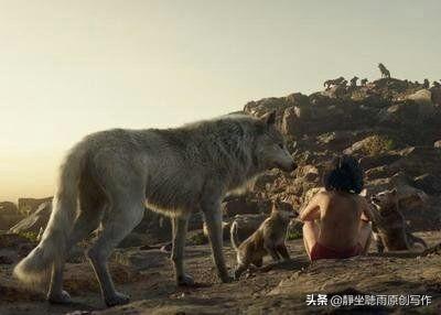 奇幻森林电影全集免费_奇幻森林电影全集免费观看